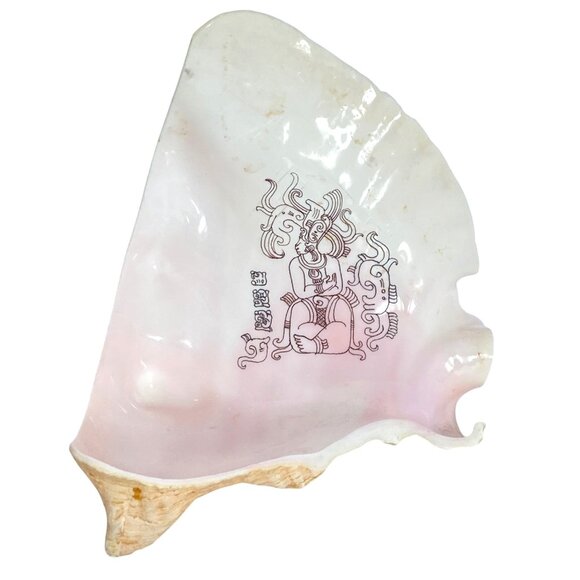 Mayan Image and Glyphs MesoAmerican Carved Queen Conch Shell Mexico - Picture 1 of 7